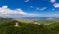 株式会社　日本総合園芸のプレスリリース画像1