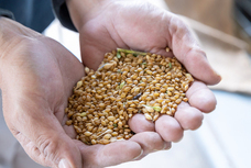 株式会社　日本総合園芸のプレスリリース画像6