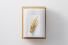 株式会社　日本総合園芸のプレスリリース画像9