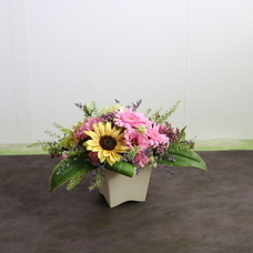 株式会社　日本総合園芸のプレスリリース画像2