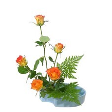 株式会社　日本総合園芸のプレスリリース画像2