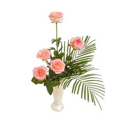 株式会社　日本総合園芸のプレスリリース画像1