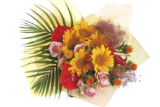 株式会社　日本総合園芸のプレスリリース画像1