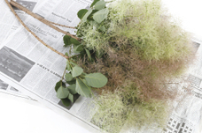 株式会社　日本総合園芸のプレスリリース画像2