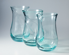 株式会社　日本総合園芸のプレスリリース画像7