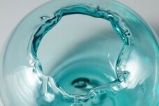 株式会社　日本総合園芸のプレスリリース画像2