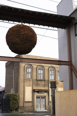 株式会社　日本総合園芸のプレスリリース画像3