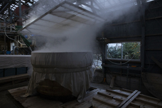 株式会社　日本総合園芸のプレスリリース画像1