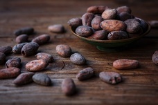 cafe　Pathのプレスリリース画像5