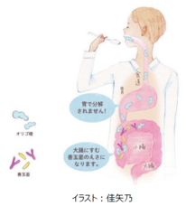 株式会社明治のプレスリリース画像10