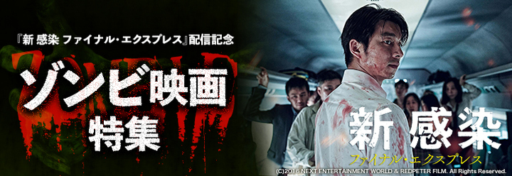 株式会社ビデックスのプレスリリース