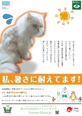 株式会社パル・コーポレーションのプレスリリース画像1