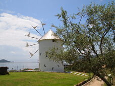 エールック株式会社のプレスリリース画像2