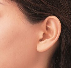 ワイデックス株式会社のプレスリリース画像1