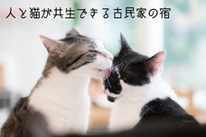 猫カフェブランのプレスリリース画像2