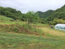 猫カフェブランのプレスリリース画像3