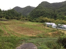 猫カフェブランのプレスリリース画像2