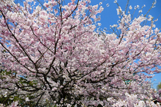 株式会社アウテックのプレスリリース画像1