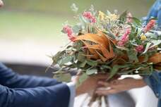 株式会社BHFのプレスリリース画像3