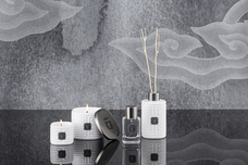 株式会社ハーンジャパンのプレスリリース画像2