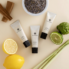 株式会社ハーンジャパンのプレスリリース画像3