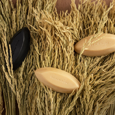 株式会社ハーンジャパンのプレスリリース画像1