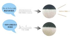 株式会社スポットのプレスリリース画像10