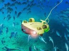 一般社団法人オンライン体験協会のプレスリリース画像4