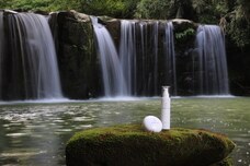 平山温泉観光協会のプレスリリース画像5