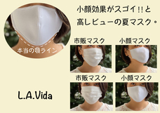 L.A.Vida Selectのプレスリリース画像2