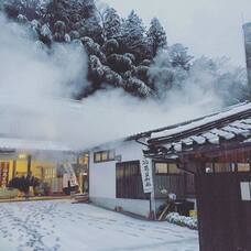 株式会社えだまめのプレスリリース画像1