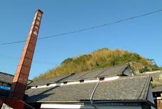 株式会社えだまめのプレスリリース画像1