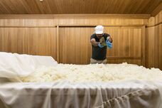 株式会社えだまめのプレスリリース画像1