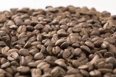 株式会社EXCELISMのプレスリリース画像5