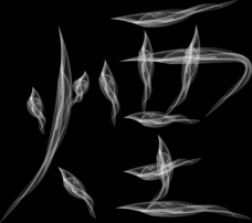 株式会社EXCELISMのプレスリリース画像8