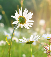 有限会社ランドコムのプレスリリース画像3