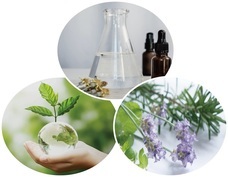 株式会社エイチラボのプレスリリース画像1