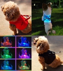 タカインターナショナル株式会社のプレスリリース画像1