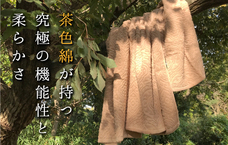 株式会社成願のプレスリリース画像1