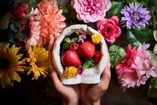 株式会社アイフーズのプレスリリース画像1