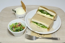 株式会社　三公ホールディングスのプレスリリース画像5