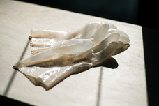 soiのてはじめのプレスリリース画像2