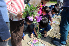 soiのてはじめのプレスリリース画像9