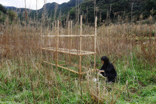 soiのてはじめのプレスリリース画像4