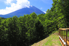 富士観光開発株式会社のプレスリリース画像1