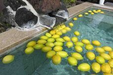 富士観光開発株式会社のプレスリリース画像2