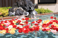 富士観光開発株式会社のプレスリリース画像3