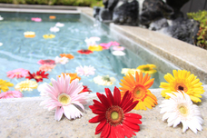 富士観光開発株式会社のプレスリリース画像2