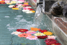 富士観光開発株式会社のプレスリリース画像1