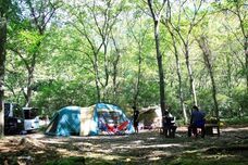 富士観光開発株式会社のプレスリリース画像1